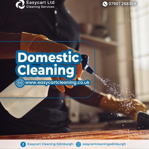 Brand Developer Glasgow